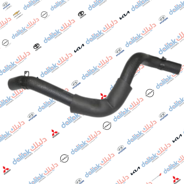 جوين راديتر اسفل سوناتا 2010 كوري