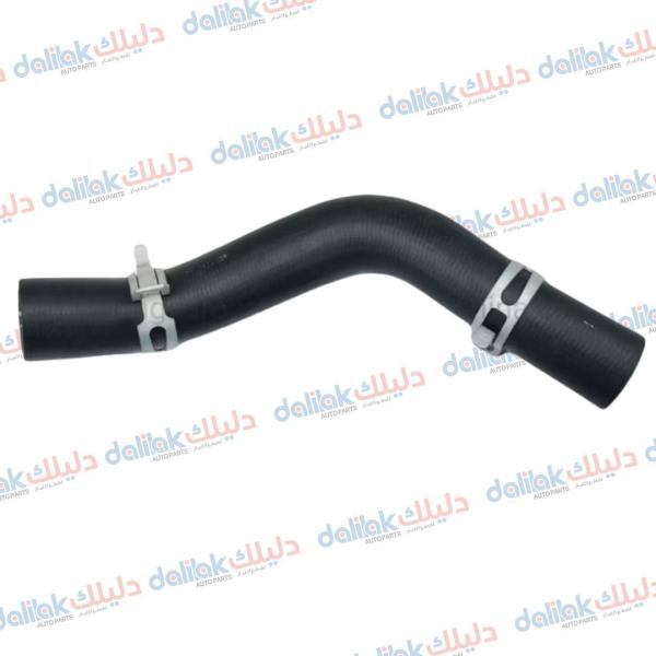 جوين راديتر اعلى طويل اكسنت-ريو 2012 كوري