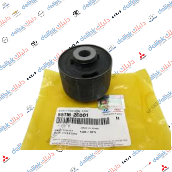 بوشة هاوزن حديد توسان- سبورتج كوري 2008-2010