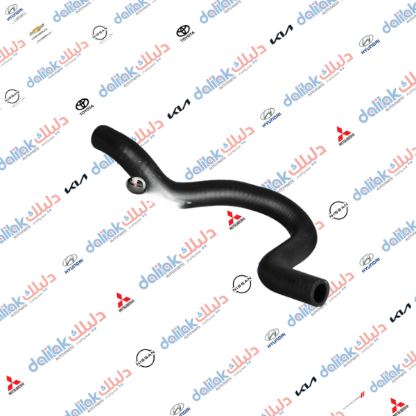 جوين هيتر قصيرة النترا -افانتا 2010 كوري