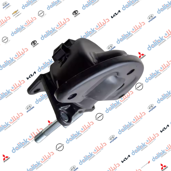 دجة كير تحت شوتة فيركروز -سنتافيا 2009 موبس