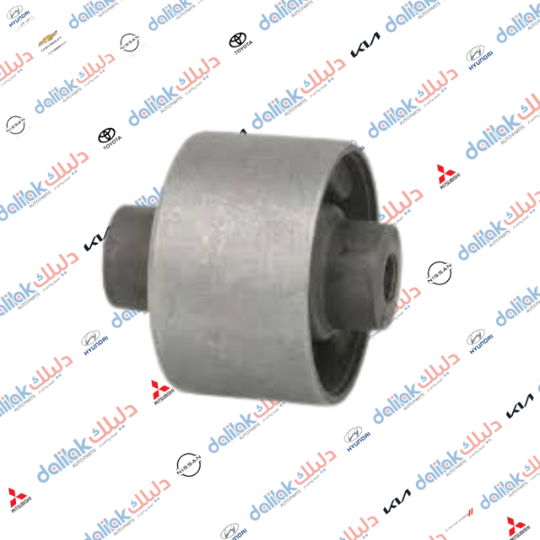 بوشة هاوزن خلفي كبيرة بروتون -لانسر 94 -NIS