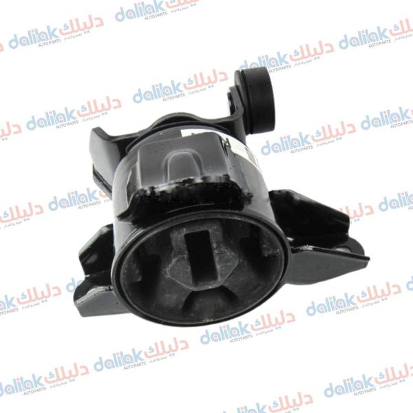 دجة كير تحت شوته توسان-سبورتج 2013 كوري