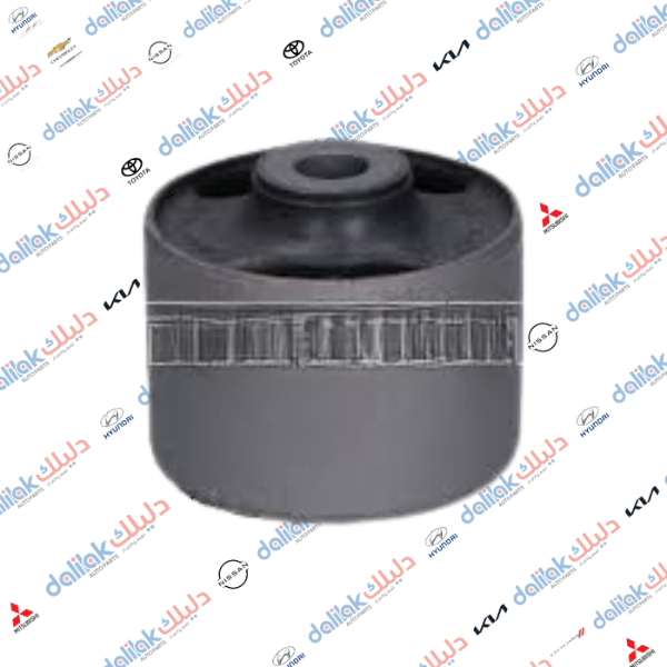 بوشة هاوزن خلفي كيا ريو 2005 كوري