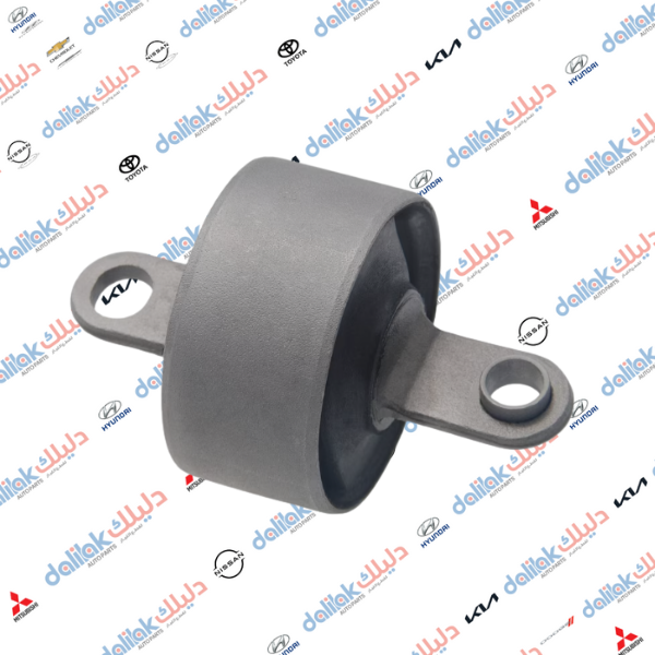 بوشة هاوزن خلفية كبيرة جكليته سوناتا 2013 كوري