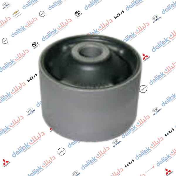 بوشة هاوزن خلفيه لانسر 94