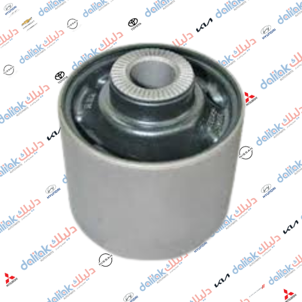 بوشة هاوزن سوناتا II - ابيكا 2010 كوري