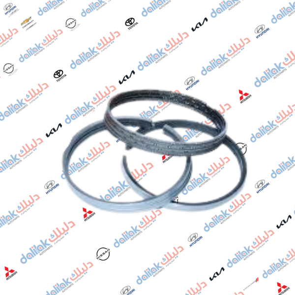 رنك محرك سنتافيا - سوناتا 3.8 كوري