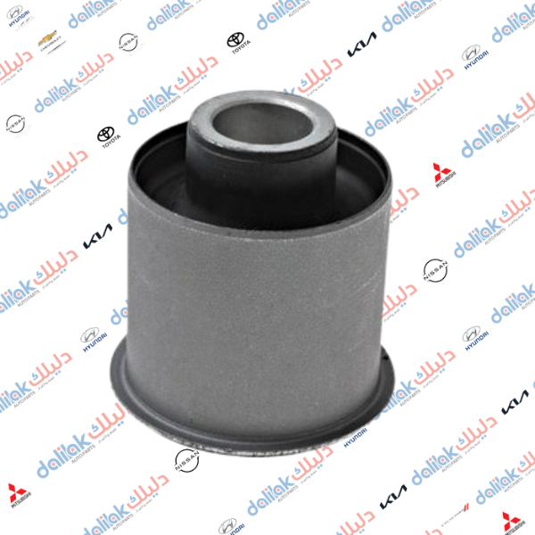 بوشة هاوزن كبيره خلفي افيو 2010 كوري