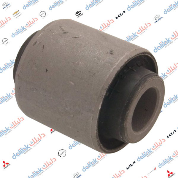 بوشه اسطاب دبل سنتافيا - سورنتو 2010 كوري