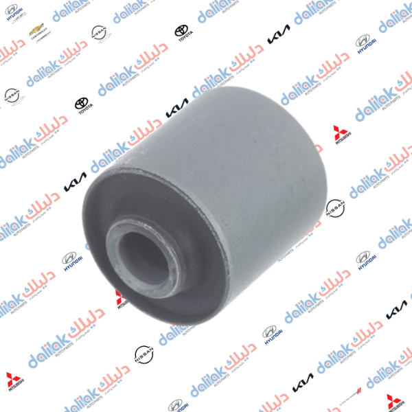 بوشه طبله خلفيه ام لوي كيا كرنفال 2010 كوري