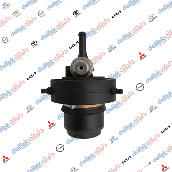 فيت بم بيك اب نيسان شبوط 2005