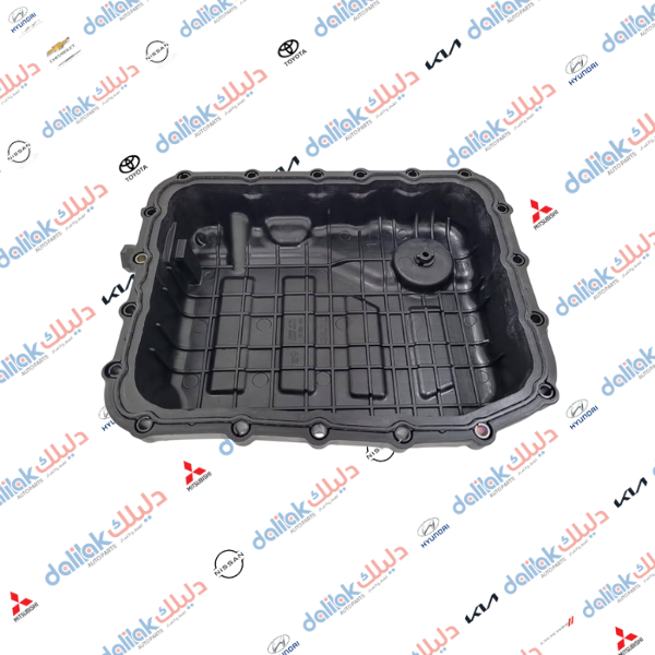 كيس كير اكسنت -النترا-ريو 2014 -HF