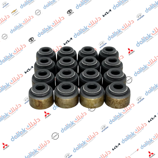 لاستيك ولف النترا-بيك اب -باجيرو 2010 موبس