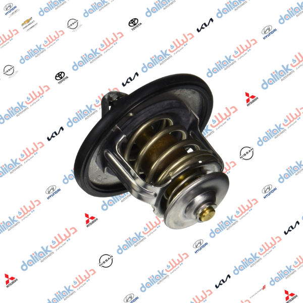 ولف حماوه نيسان شبوط-سني ياباني 76.5 -HF