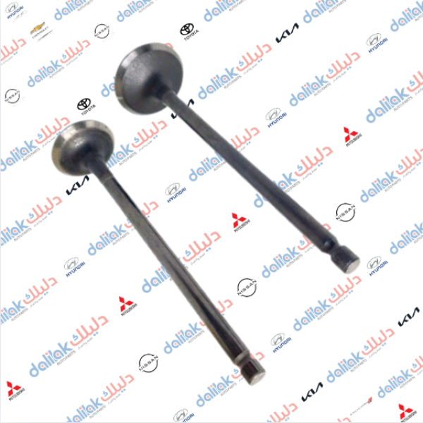 ولفات محرك النترا-توسان محرك 2.0 كوبي