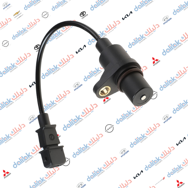 حساس راس كرنك اكسنت -فيرنة هندي 2014 كوبي