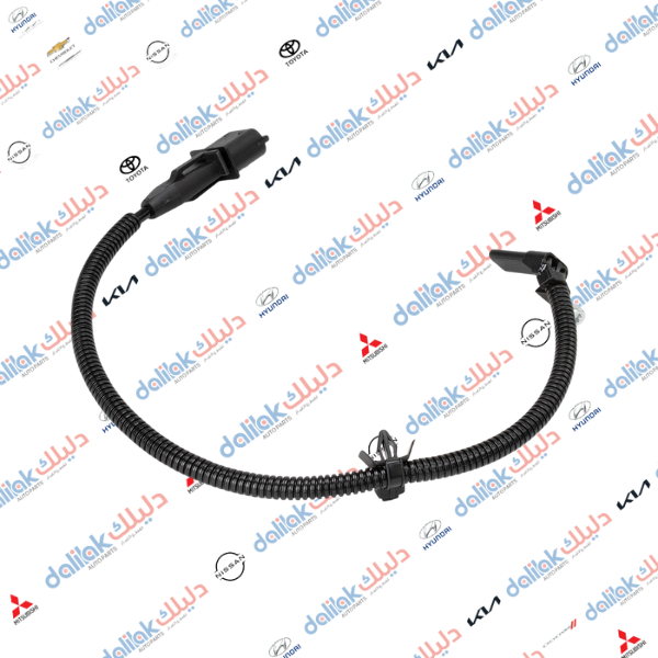 حساس راس كرنك سونك - كروز