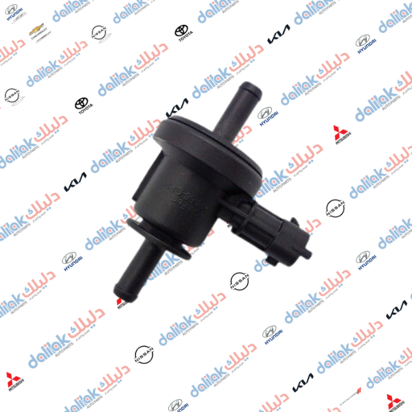 فاكيوم هواء سوناتا- -سنتافيا 2011 2.7 كوبي