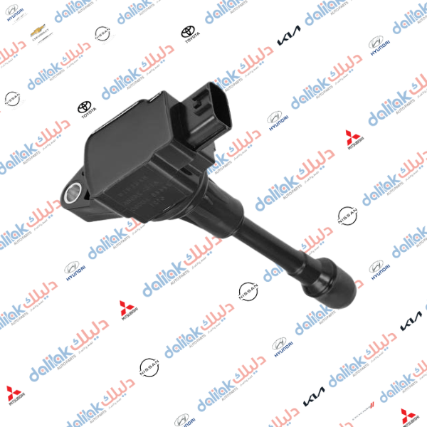 كويل ناريه نيفارا 2008-2012 -HF