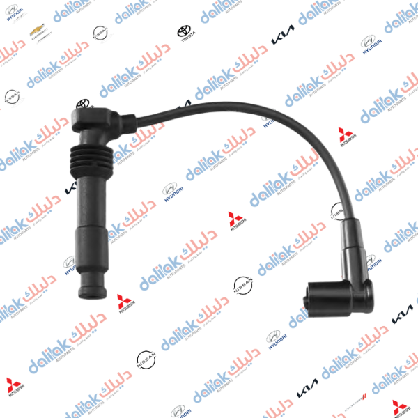 واير ديلكو برنس - لكنزا مسكر كوري