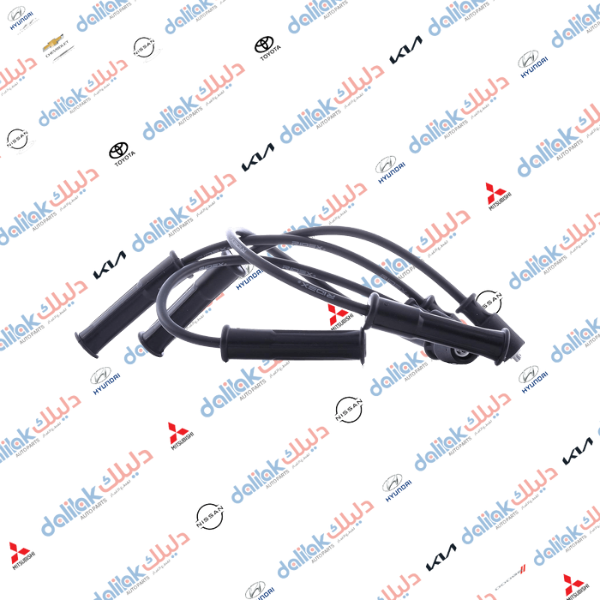 واير ديلكو كوري