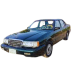 بونتيشا عام